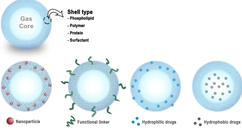 Figure 1. Schematic of micro/nanobubbles (MNBs), and their functionalization. This figure has been adapted from various studies [22, 44, 46, 52, 53]