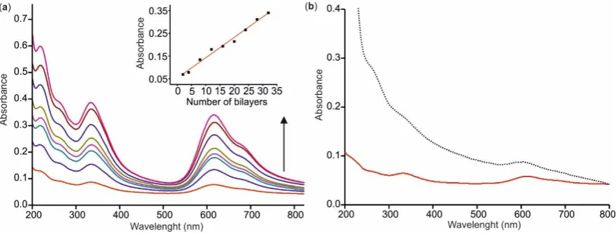 Figure 2. (a) UV-vis spectra of [CHI+IL/CuPcS]n films with increasing number of layers (n = 2,4,8,12,16,20,24,28,32)