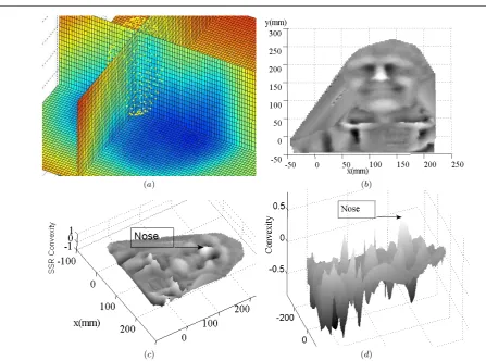 Fig. 4 (a) Top left shows spherical sampling of the RBF. The blue areas are negative RBF values (below the facial surface), yellow/redareas are positive RBF values (above the facial surface) and the turquoise areas contain the zero RBF isosurface (facial s