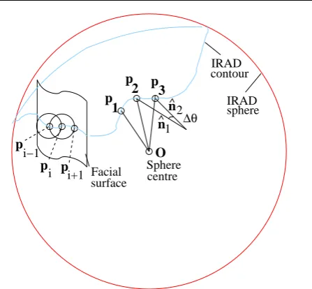 Fig. 6 The IRAD chaining process generates a high density ofpoints at the intersection of a sphere and the facial surface.