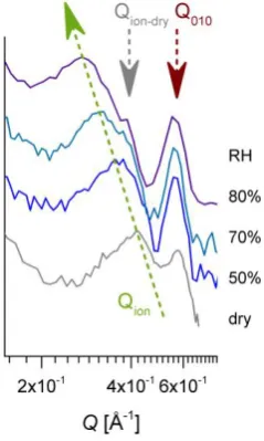 Figure 7. The high-Q range of the SANS patterns on equatorial direction reported in Figure 6