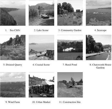 Figure 1 – The central view of the locations used in Study 2. 