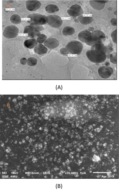 Table 2: The antibacterial activity of metallic silver nanoparticles synthesized by using hips extracts of Rosa damascena plant 