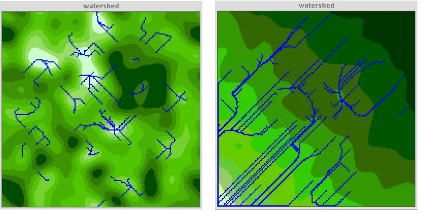 Figure 5: Watershed Dynamics: (a) Many Sources and Sinks (b) Terrain with a More Generally Directed Gradient