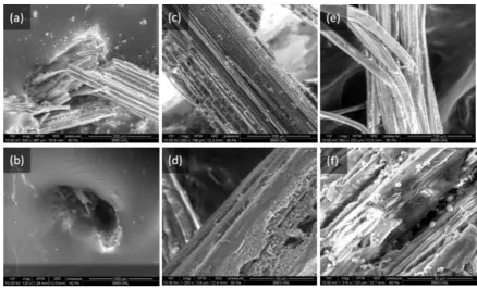 Fig. 4(a) shows the failure mode associated with non-regular pull-out-test curves; in this case, the technical fiber partially broke instead of getting pulled out of the matrix, meaning that the bamboo/PLA interface was not necessarily stressed to failure