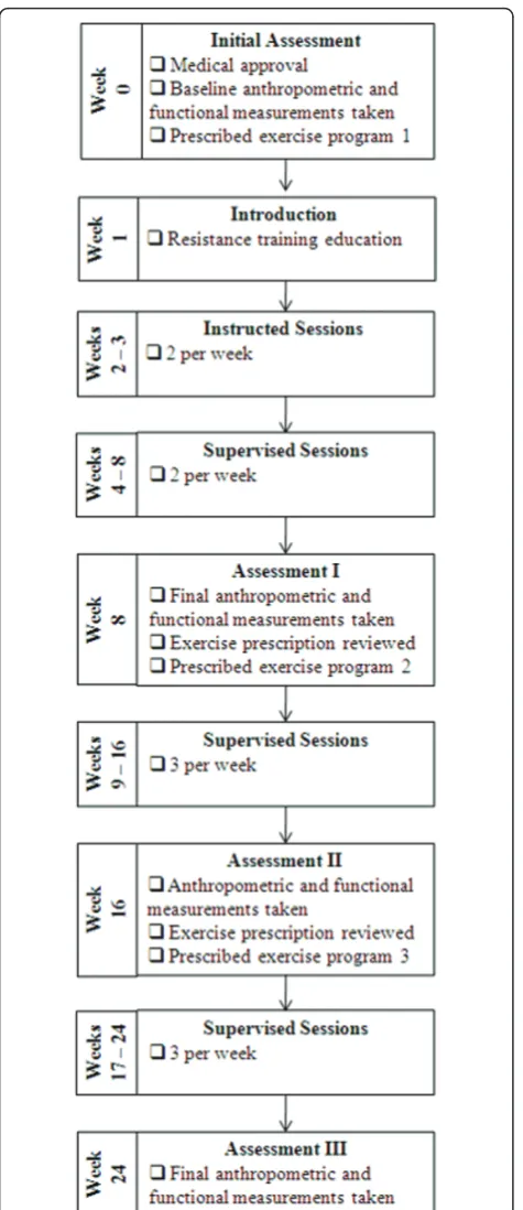 Figure 1 Stages of the Lift for Life program.