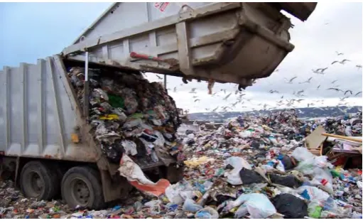 Figure 1.1 A garbage disposal dumpsite 