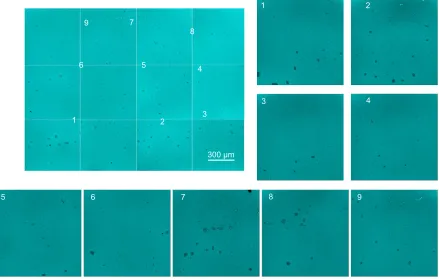Figure 6 DIC image of HA distribution over a large senofilcon A lens area.Notes: The master image of the ha network distributed over the entire lens area was prepared by stitching sequential images recorded using a 10× objective