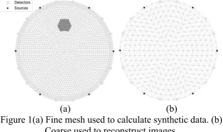 Figure 1(a) Fine mesh used to calculate synthetic data. (b) 