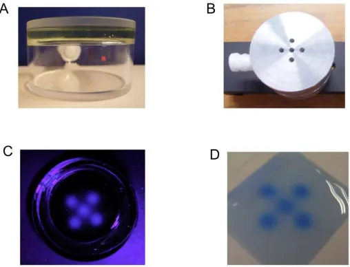 Figure 3. The first test measurement of fixed fluorescence imaging using the RFG gel production procedure described in the text