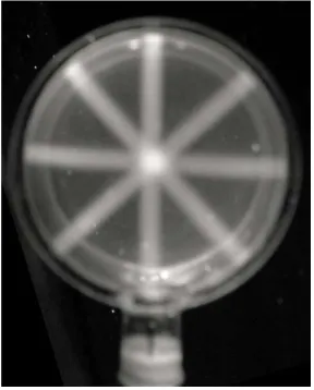 Figure 10. The fluorescence of a 6 mm thick RFG gel in a 50 mm diameter cylindrical quartz cell after irradiation with a 2.5 mm collimated, 250 kVp X-ray beam at 0, 45, 90 and 135 degrees to the vertical