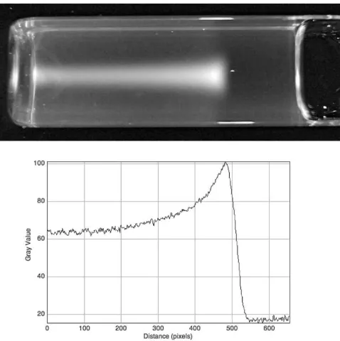 Figure 11. A 20 mm thick RFG gel irradiated with orthogonally-crossed X-ray beams. Upper left; a 10x10 mm square beam, Upper right; a 10 mm diameter round beam
