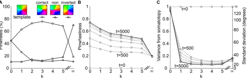 Figure 4. Analysis of pinwheel quality and somatotopic alignment per supra-barrel in 20 model networks