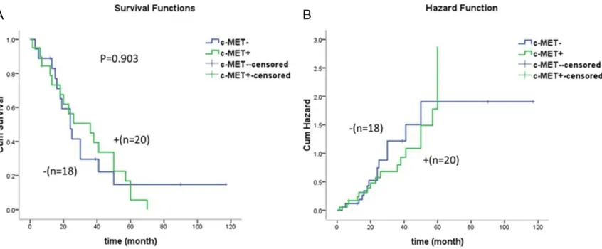 Figure 2. Kaplan Meier OS curves for c-MET-negative and -positive patients. The association between c-MET expres-sion and OS was absent (χ2=0.042, P=0.837)