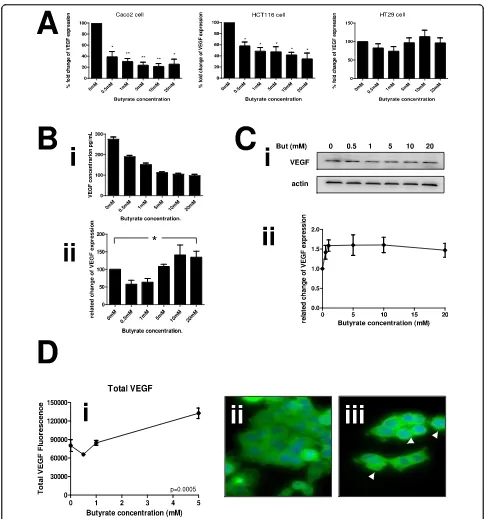 Figure 6 Butyrate down-regulates VEGF at the mRNA and protein level. Human colon cancer cell lines were treated with increasingconcentrations of butyrate