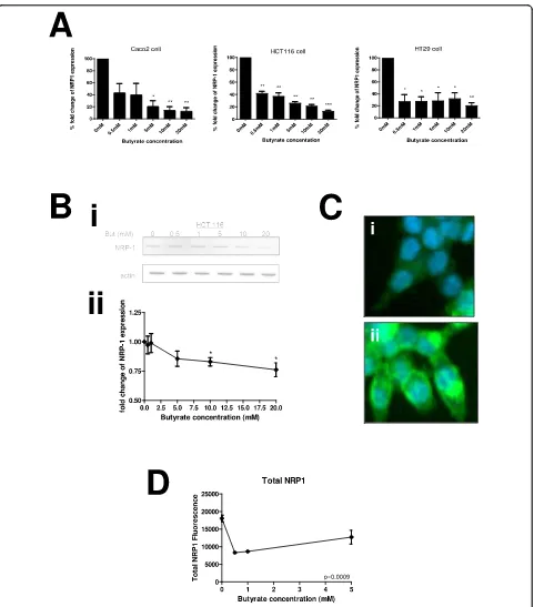 Figure 2 Butyrate down-regulates NRP-1 at the mRNA and protein levelwith media supplemented with increasing concentrations of butyrate