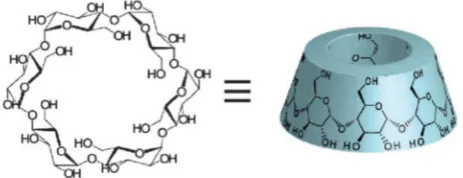 Figure 13. Structure of α-cyclodextrin (formed by six glucosidic units). The arrangement of the external hydrophilic surface and the relatively hydrophobic internal cavity is evident