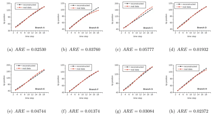 Figure 6: Comparison of real position and predicted position of each tip over time