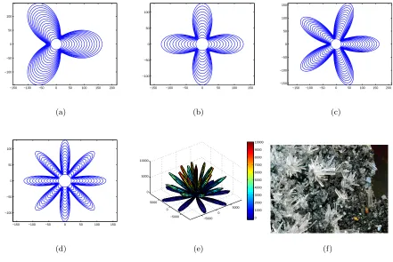 Figure 1: (a)-(d) Interface displacements of simulation examples by Eq. (4) in two-dimensions; (e) Snapshot ofsimulation example in three-dimensions; (f) Snapshot of a real crystal cluster.