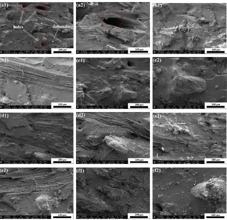 Figure 1. The impact fracture surfaces of PLA/SF (80/20) (a1, a2) and PLA/SF/ADR composites with different ADR content: (80/20/0.2) (b1, b2); (80/20/0.4) (c1, c2); (80/20/0.6) (d1, d2); (80/20/0.8) (e1, e2); (80/20/1.0) (f1, f2)