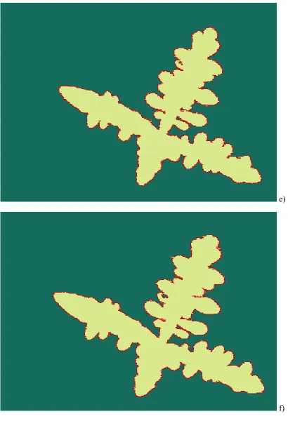 Figure 3. a-c) NH4Br crystal patterns recorded at ∆t, 20∆t, 40∆t where ∆t=3seconds and d-f) corresponding segmented images and identified boundaries