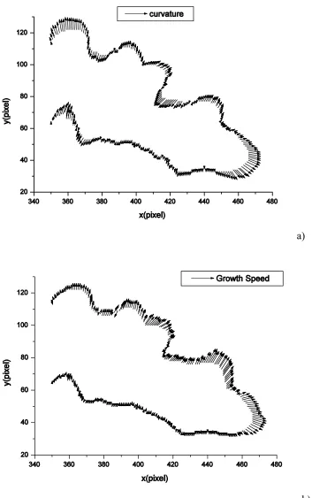 Figure 5. a) Curvature and b) normal velocity estimated along the branch of interest at frame 22