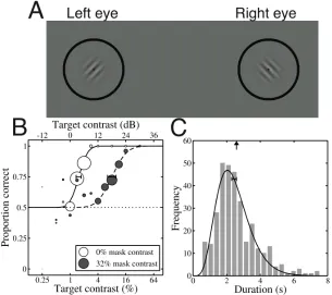 Figure 1. Example stimuli, and illustration of analysis procedures. A) Gabor patches shown to left and right eyes
