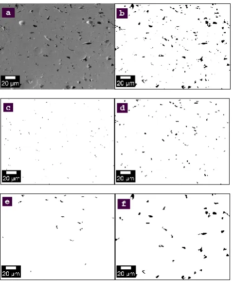 Figure 2. Cross-sectional SEM image showing the shapes and relative sizes of pores and cracks