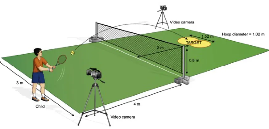 Figure 3.1. The hitting task set-up. The target was two hula-hoops that were placed next to 
