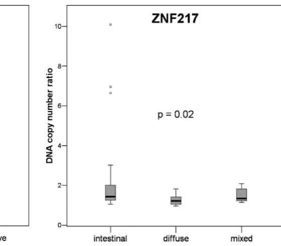 Fig. 2 Box plot of DNA copy number ratios of the genebetween lymph node-negative and lymph node-positive gastric adeno-carcinomas