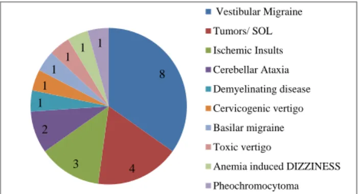 Figure 1: Central lesions causing vertigo: 23 cases. 