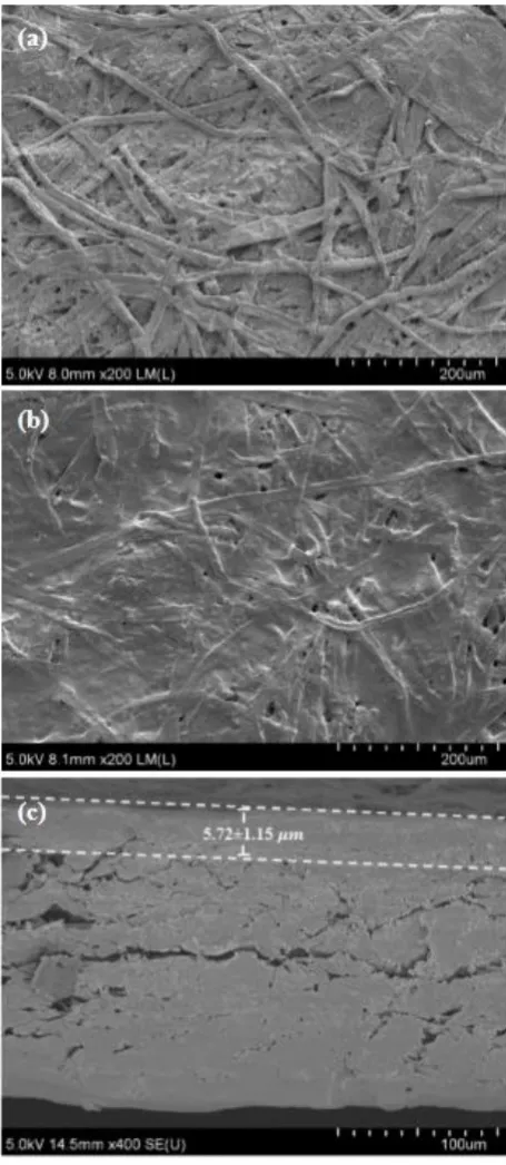 Figure 3.  FE- SEM micrographs of (a) uncoated paper, (b) paper coated with AgNPs, and (c) cross-section of the surface coated with a layer of AgNPs