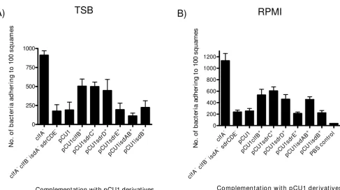 Figure 5epithelial cellsAdherence of S. aureus Newman complemented mutants grown in TSB and iron restricted conditions to desquamated nasal Adherence of S
