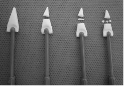 Figure 1 Polyvinyl alcohol sponge and compass used to measure 6 and 8 mm from the tip, to create Ts6 and Ts8, respectively.