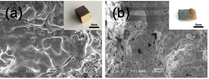 Fig. 4. SEM images of the surfaces of the silicide coatings after oxidation at different temperatures: (a)1000 oC and (b) 1300 oC