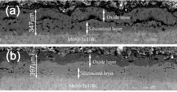 Fig. 6. SEM images of the cross-sections of the silicide coating after oxidation at (a) 1000 oC and (b) 1300 oC