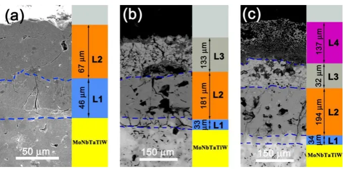Fig. 8. SEM images of the cross-section of the coatings in different states: (a) initial silicide coating, (b) oxidized at 1000 oC, and (c) oxidized at 1300 oC
