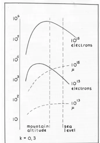 Fig. 2. The average longitudinal development of the electron and muon number for primary energies of 1013 and 1015 eV assuming an inelasticity of 0.3 [38]