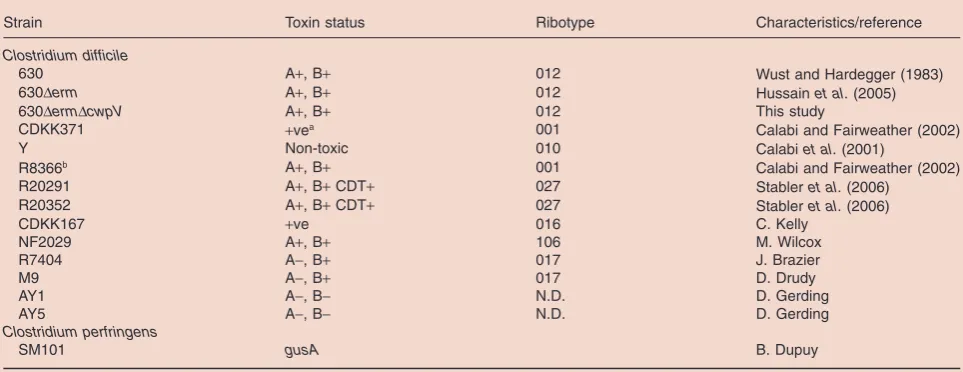 Table 1. Strains used in this study.