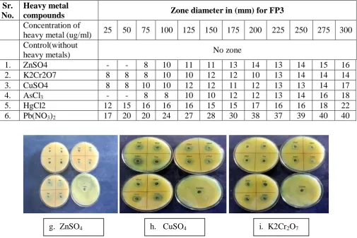 Fig. 2 (a - f): Zone of inhibition shown by isolate FP3 against different heavy metals 