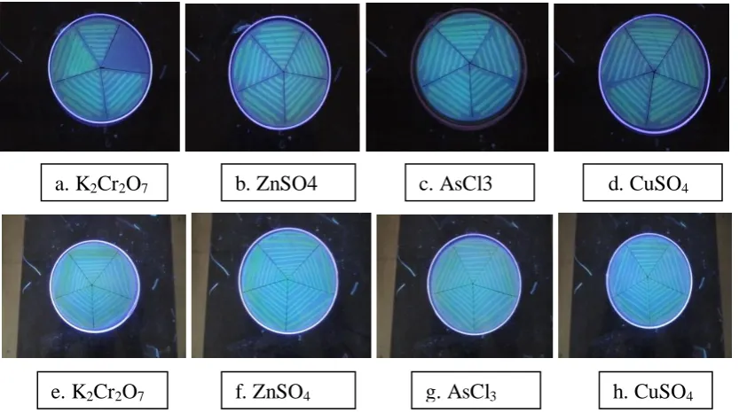 Fig. 6 (a-h): Qualitative measurement of fluorescence of FP3 and FP4 through digital  