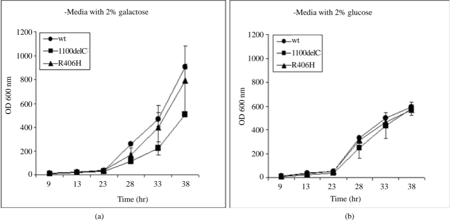 Figure 2. Cells transformed with all plasmids, including the wild type (wt) CHEK2, grew at similar rates when expression of CHEK2 from the plasmids was repressed by replacing galactose in the media with glucose, suggesting that the differences seen in grow