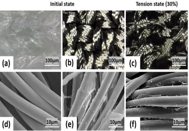 Figure 6. Surfaces of the fabricated sensors : (a) untreated (b) treated (c) treated and stretched (under lower magnification) (d) untreated (e)treated,  and (f) treated and stretched (higher magnification) 