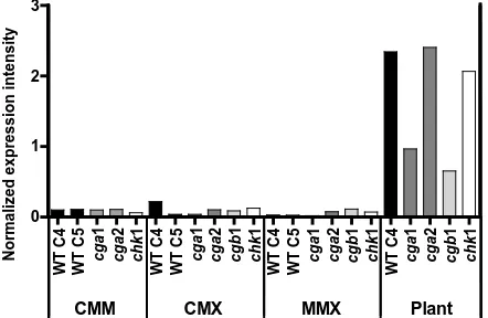 Figure 3. C. heterostrophus CIPA expression profile. Micro-array (Affymetrix Chip) normalized expression results indi-cate transcript levels of WT (C4, C5) and the signal deficien-cy mutant strains: cga1 (∆Gα1); cga2 (∆Gα2); cgb1 (∆Gβ1); chk1 (∆MAPK1)