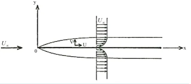 Figure 1. The boundary layer along a flat plate.                                   