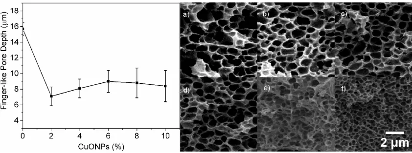 Figure 6. Effect of the CuONPs wt.% in the depth of the finger-like pores (left panel)