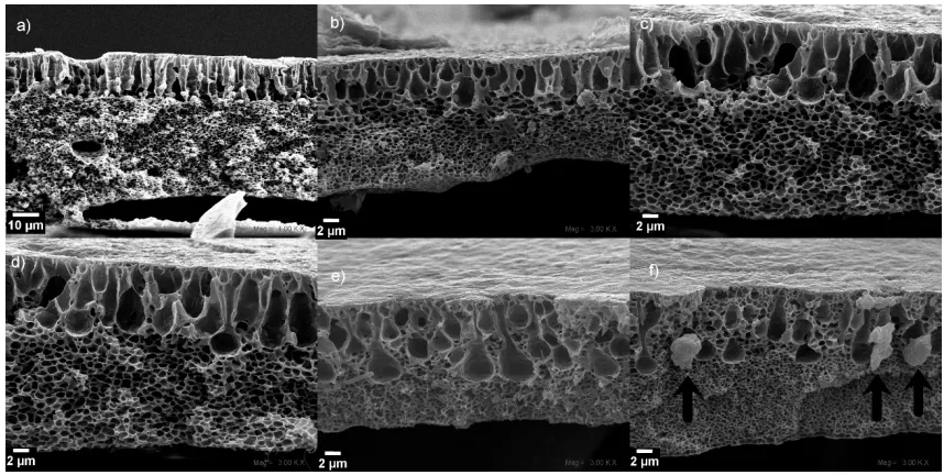 Figure 5. Cross-section SEM micrographs of the PVDF-NWPET samples a) neat PVDF-NWPET and b-f) doped with 2, 4, 6, 8, 10% of CuONPs; respectively