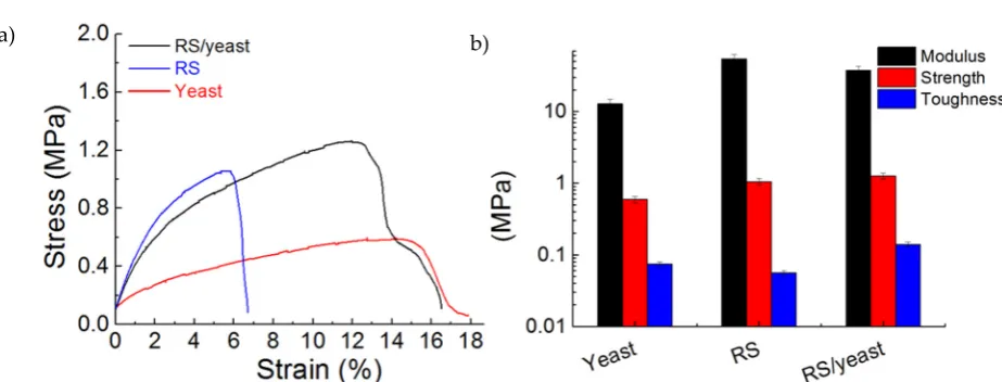 Figure 3. (a) Stress-strain curves from testing of yeast, RS and RS/yeast samples. The curves 