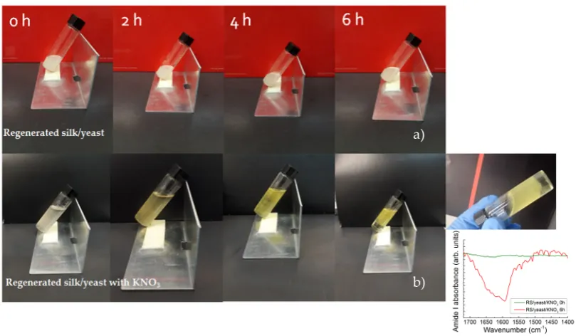 Figure 5. Dynamic optical morphology of the (a) RS/yeast and (b) RS/yeast/KNO3resulting at diamide I FTIR band of the RS/yeast/KNO solutions ﬀerent times (temperature 37°C)