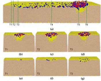 Figure 8. (a), whole cross-section view of phase distribution induced by rolling of particle with axial ratio 0.80; (b-d), cross-section view of initial loading region labelled by T1-T3 before the top substrate moving and (e-g) after the top substrate movi